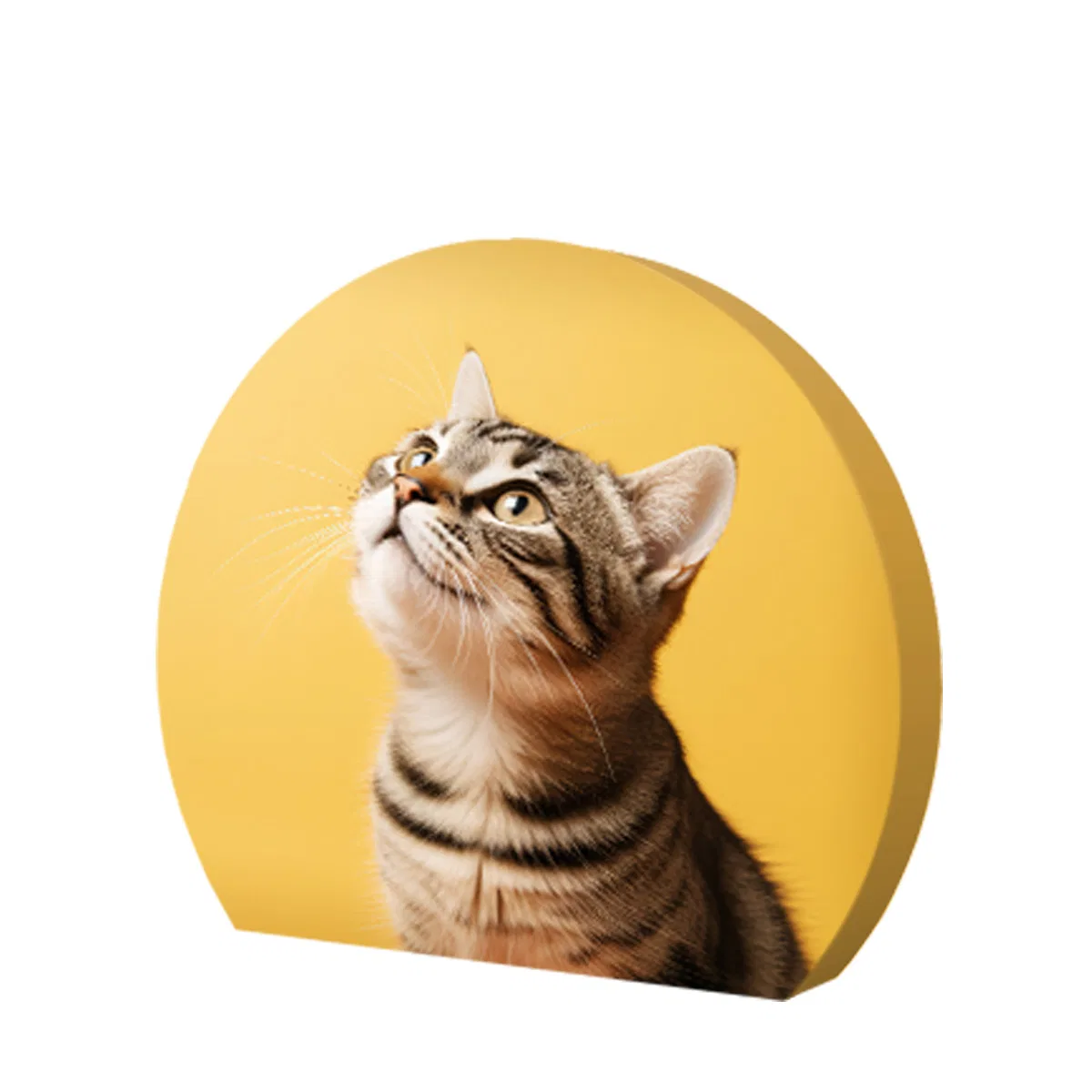 Soft wall 3-D Moon (rPET)